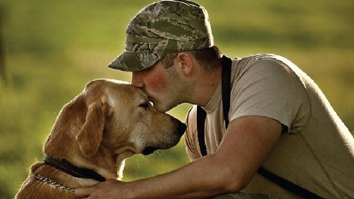 dogs for military vets